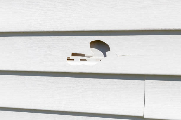 Best Stucco Siding  in Milmay, NJ