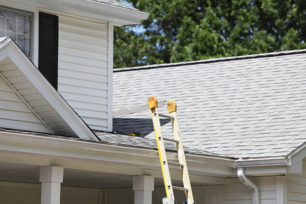 Best Insulated Siding Installation  in Milmay, NJ