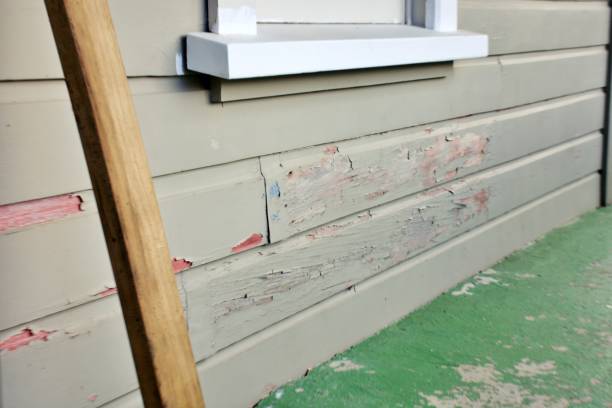 Best Siding for New Construction  in Milmay, NJ