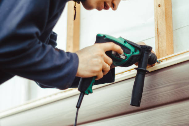 Best Siding Repair  in Milmay, NJ
